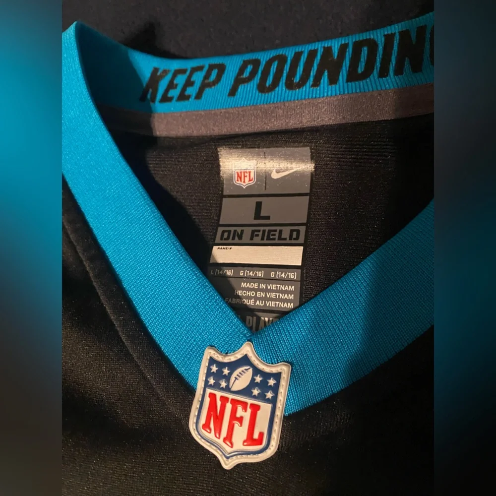 Carolina Panthers #28 Jonathon Stewart - Picture 3 of 7